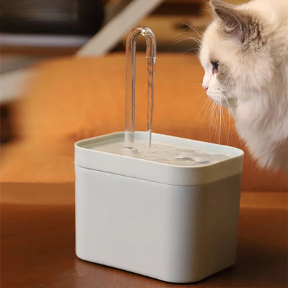 Distributore d'acqua automatico per gatti