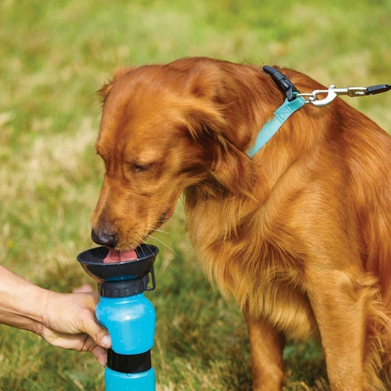 Bottiglia d'acqua portatile per cani da 500 ml