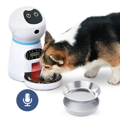 Distributore automatico di cibo con voce registrabile per cani e gatti