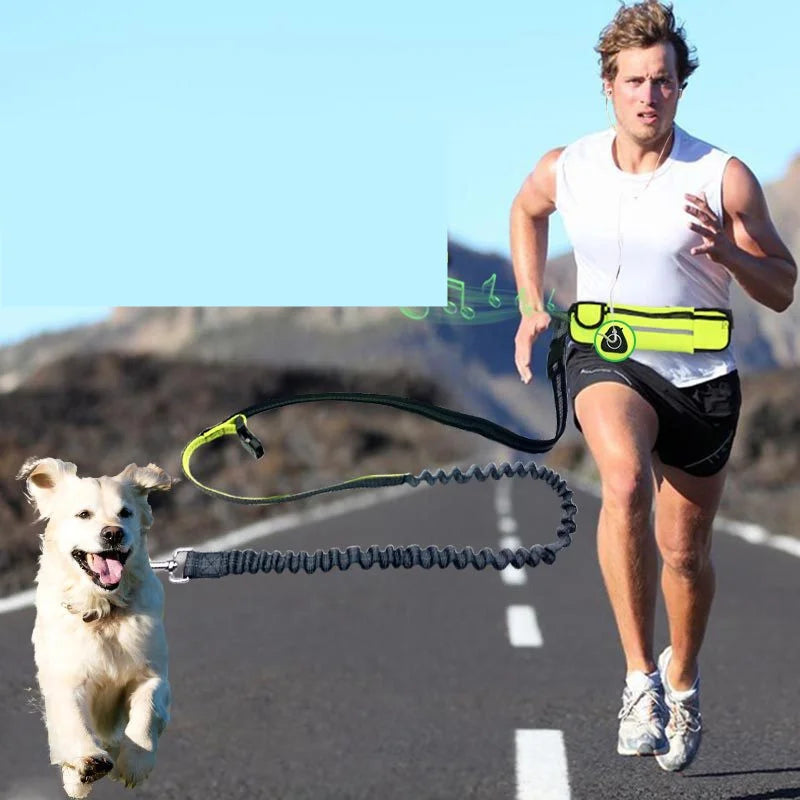 Guinzaglio elastico da running per cani